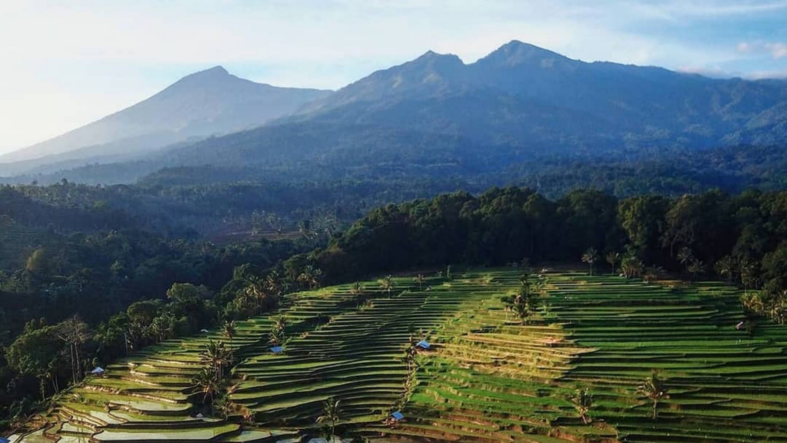 Desa-Tetebatu-scaled