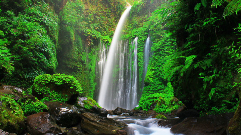 air-terjun-Tiu-Kelep-1