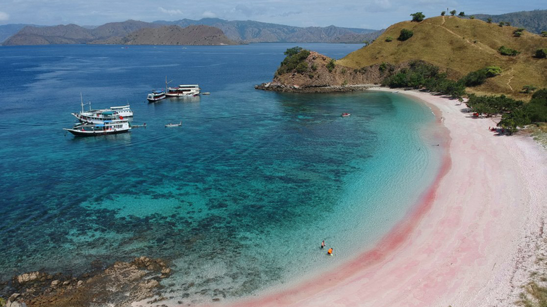 pink lombok